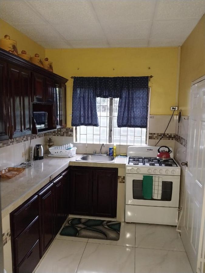 Granann'S Place Κίνγκστον Εξωτερικό φωτογραφία