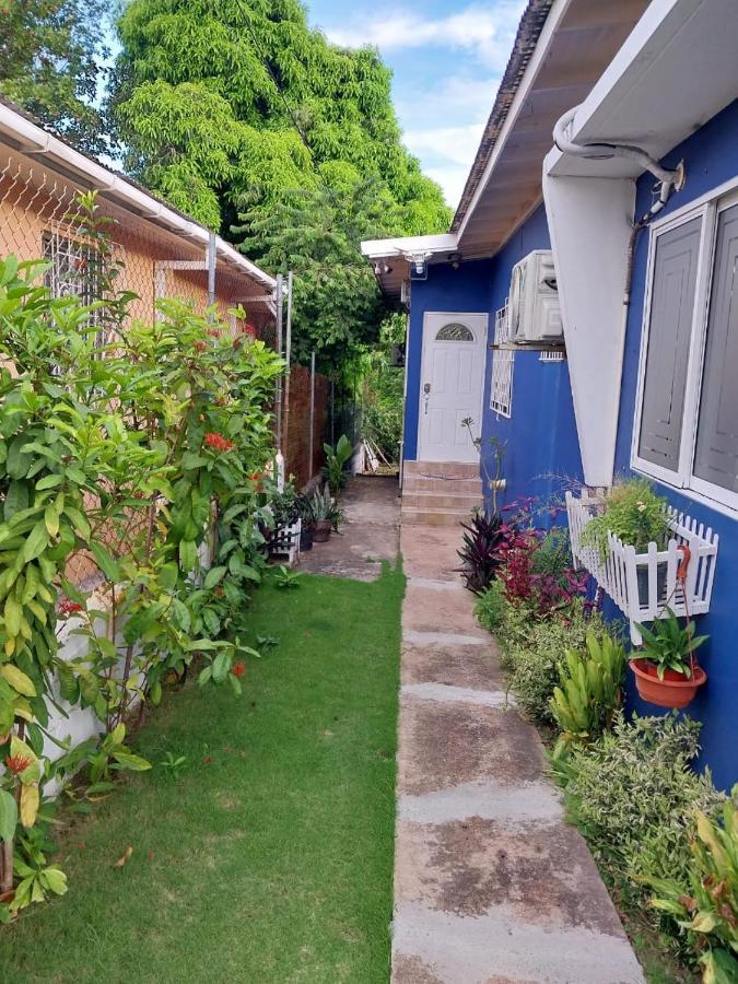 Granann'S Place Κίνγκστον Εξωτερικό φωτογραφία